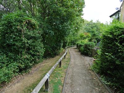Picture 24